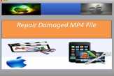 Repair Damaged MP4 File