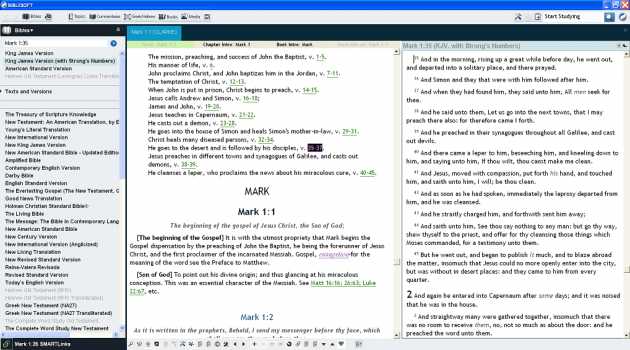 OneTouch PC Study Bible Light