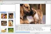 Web Image Collector 2013 For Mac