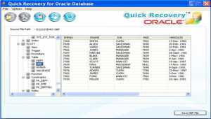 Oracle Database Backup Recovery Software