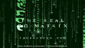 Real 3D Matrix