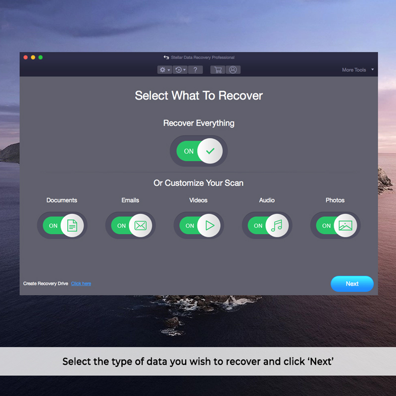 Stellar Data Recovery Professional Mac