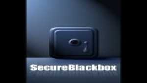 SecureBlackbox VCL