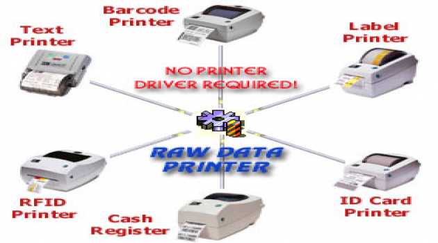Raw Data Printer Component